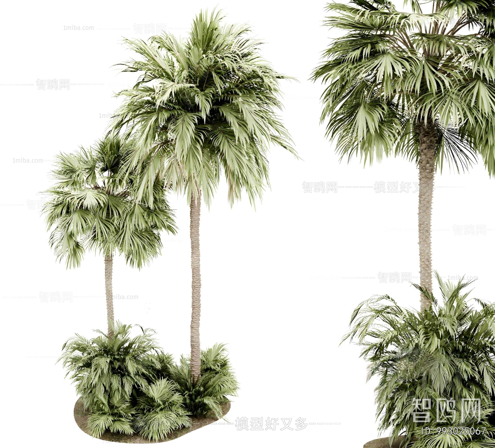 Modern Ground Green Plant Potted Plants