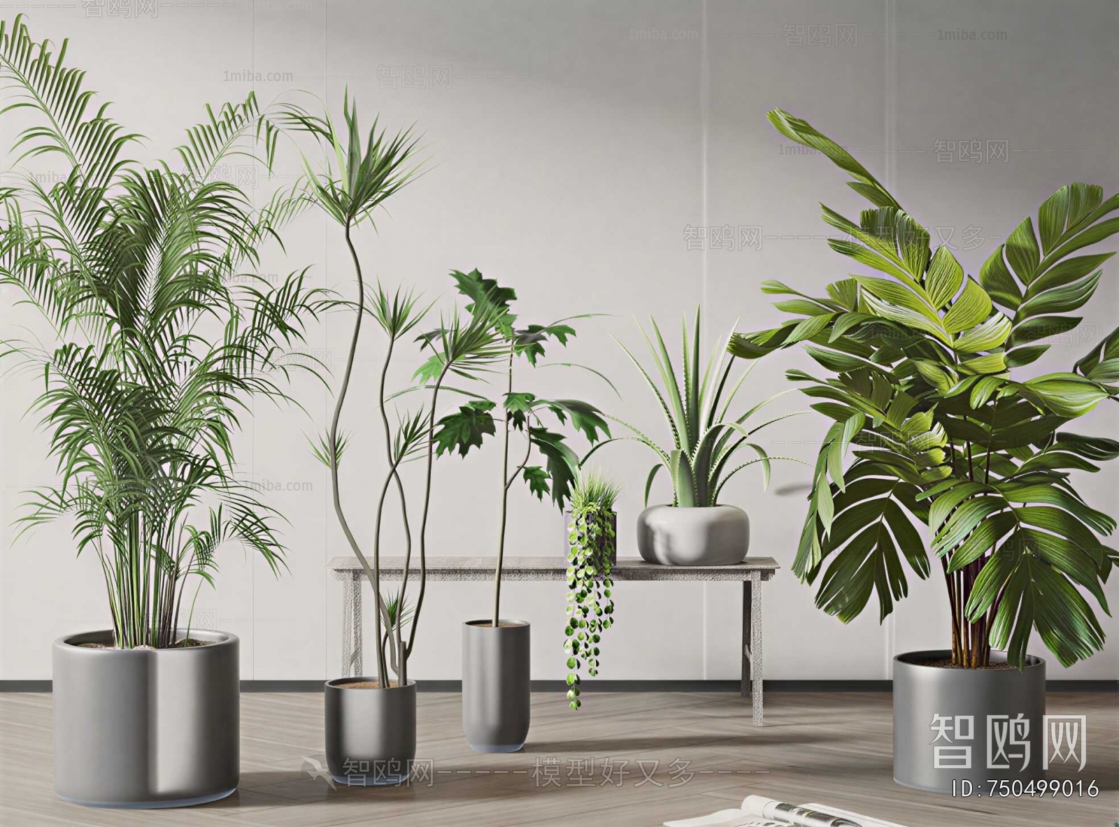 Modern Ground Green Plant Potted Plants