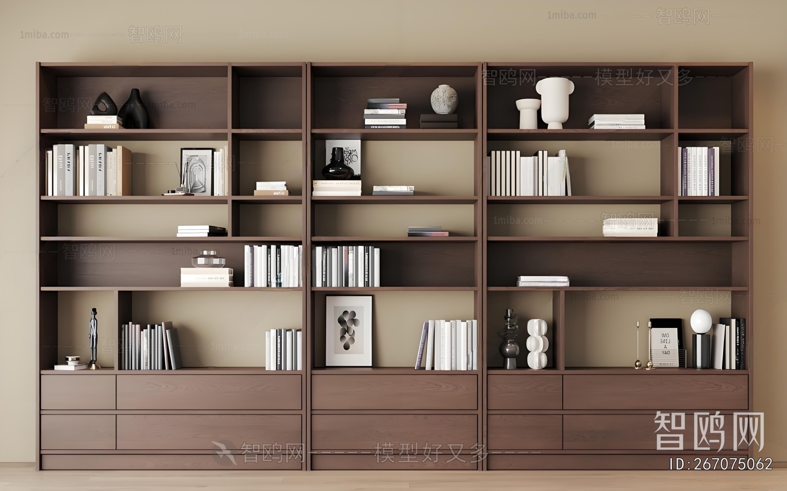 Modern Bookcase