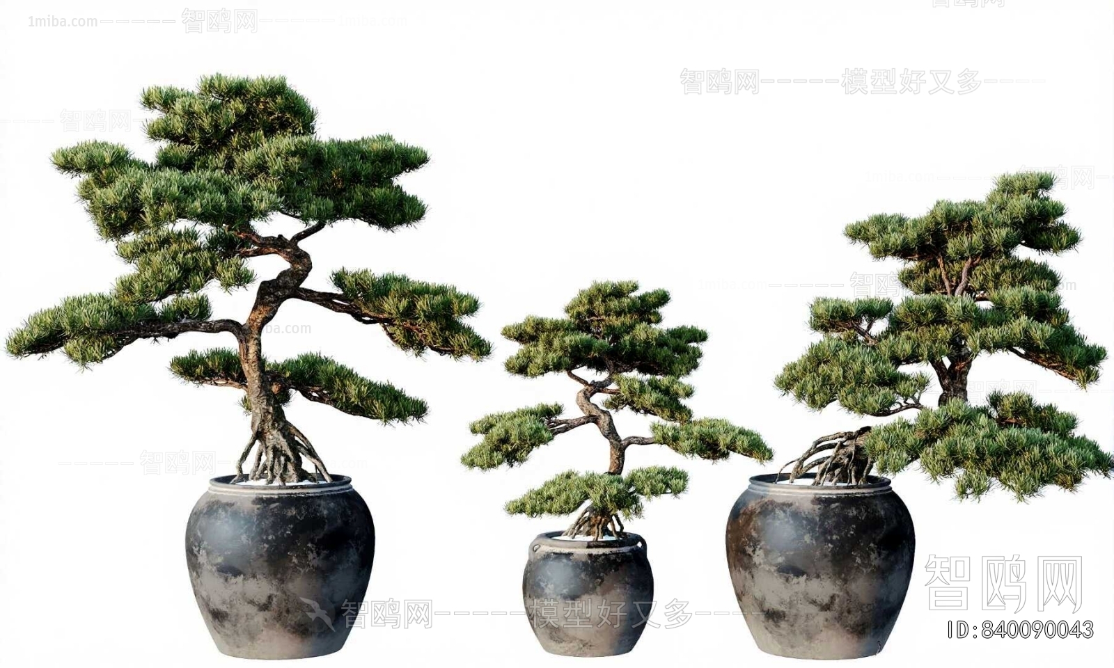 New Chinese Style Bonsai