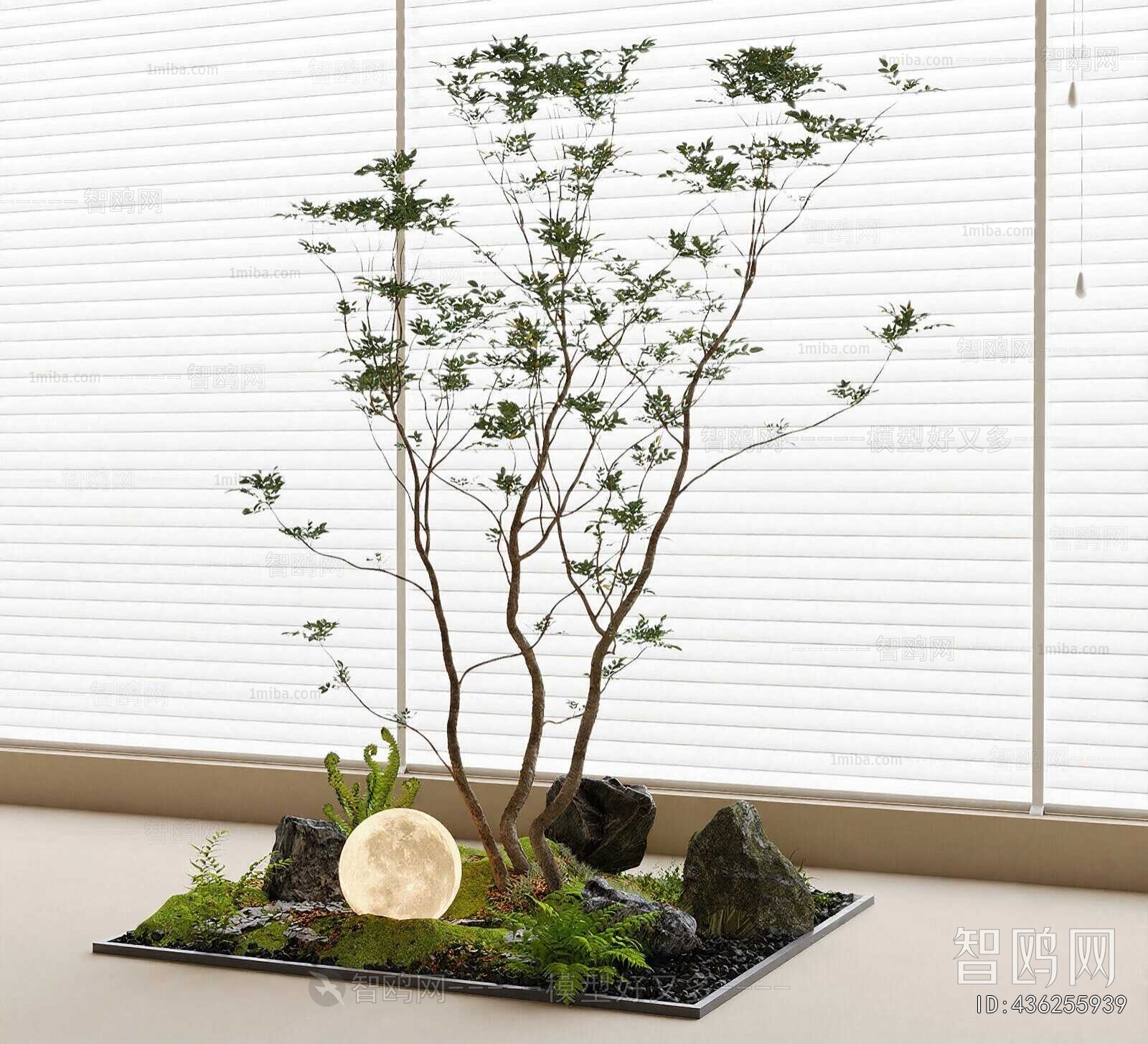 Modern Plant Landscaping