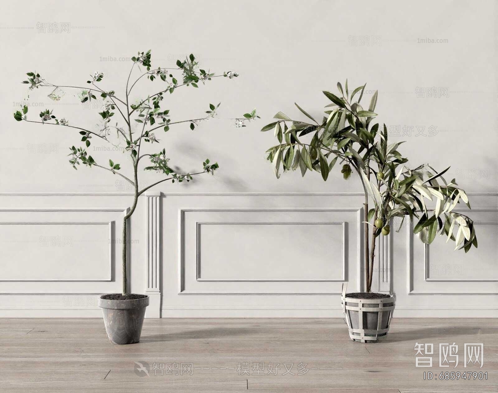 Modern Ground Green Plant Potted Plants