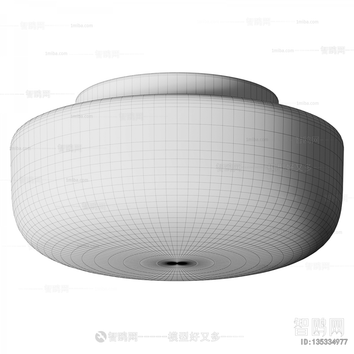 Modern Ceiling Ceiling Lamp
