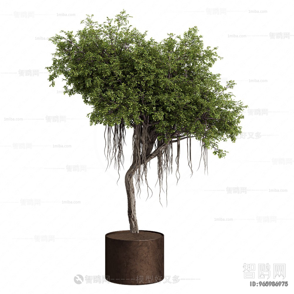 Modern Ground Green Plant Potted Plants