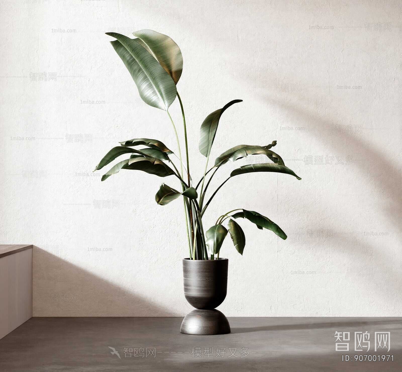 Modern Ground Green Plant Potted Plants