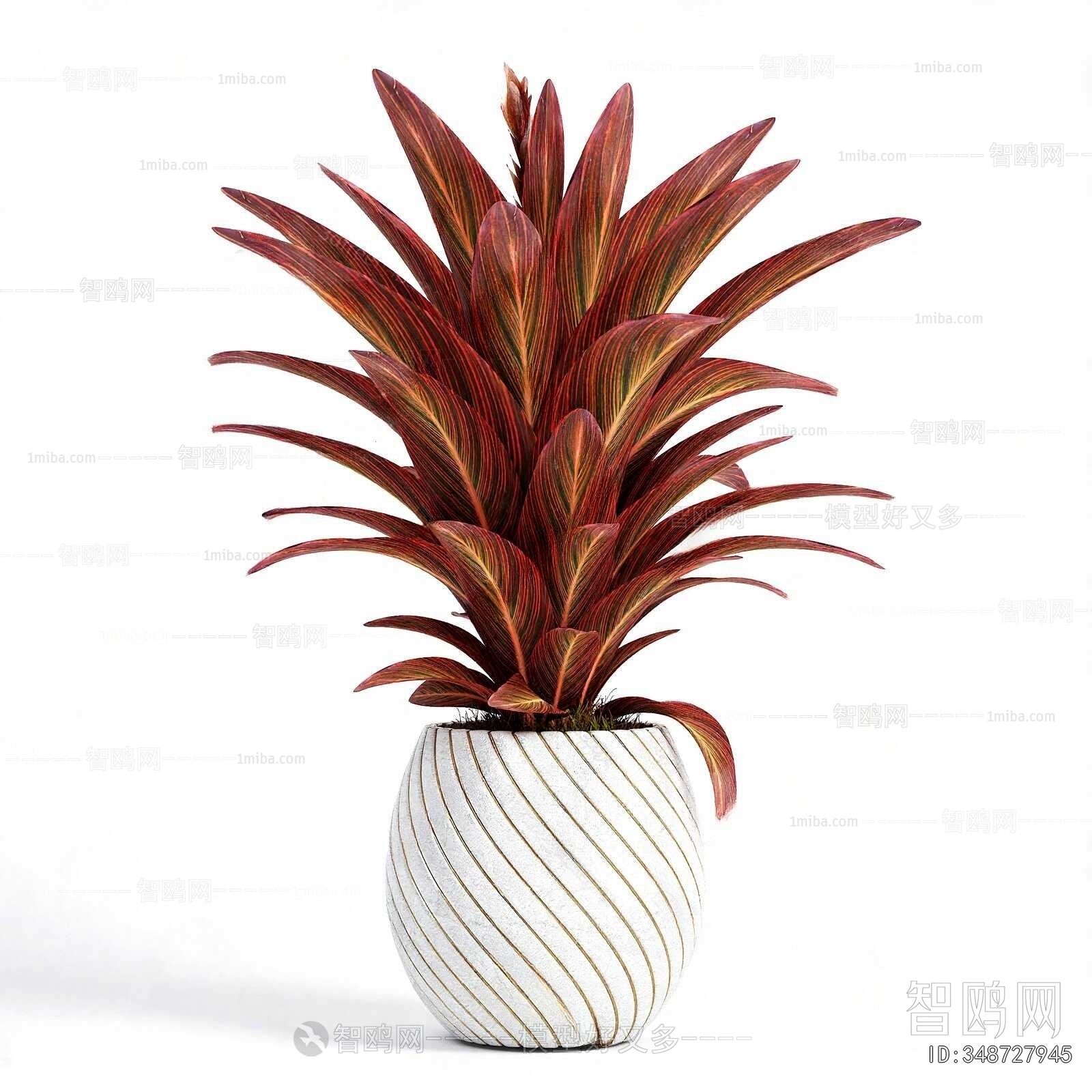 Modern Potted Green Plant