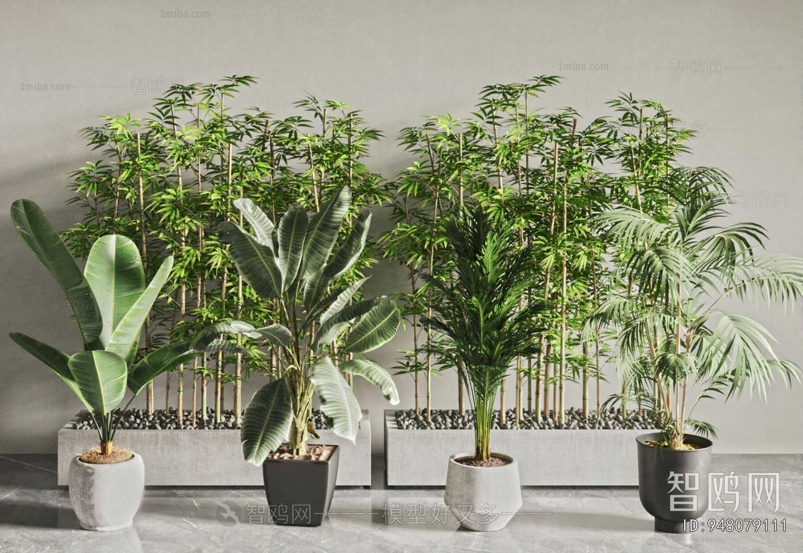 Modern Ground Green Plant Potted Plants