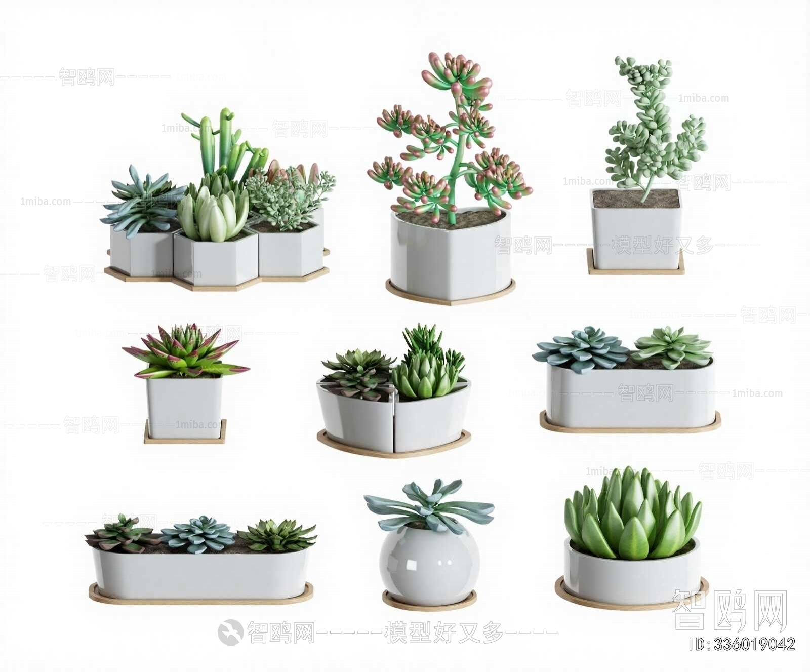 Modern Potted Green Plant