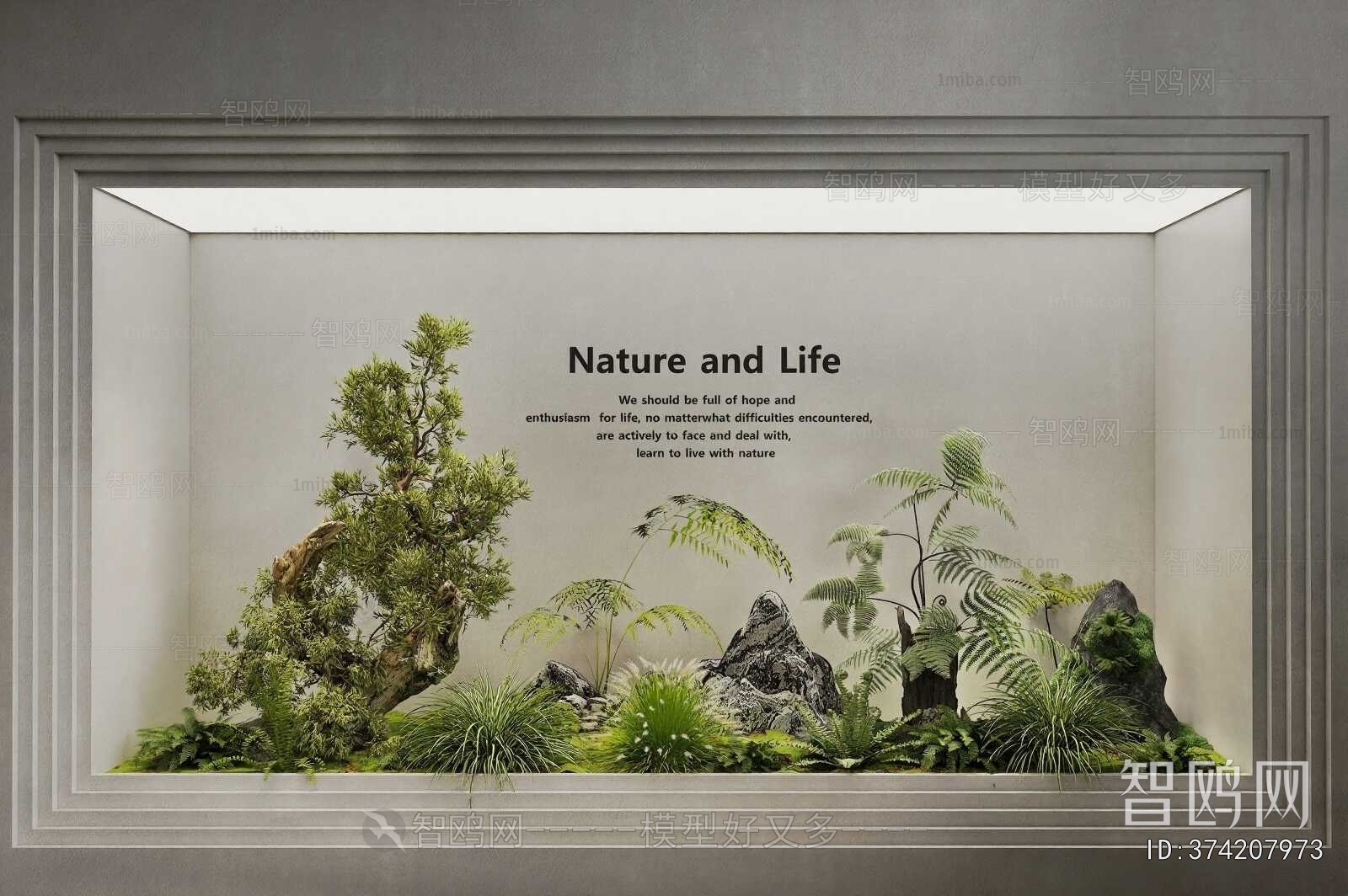 Modern Plant Landscaping