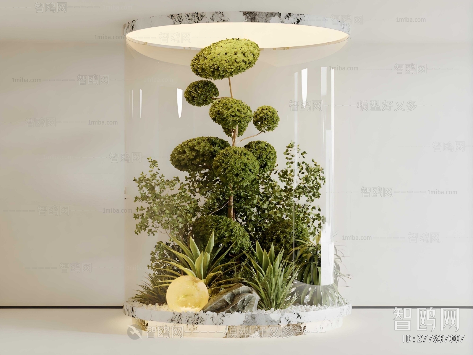 Modern Plant Landscaping