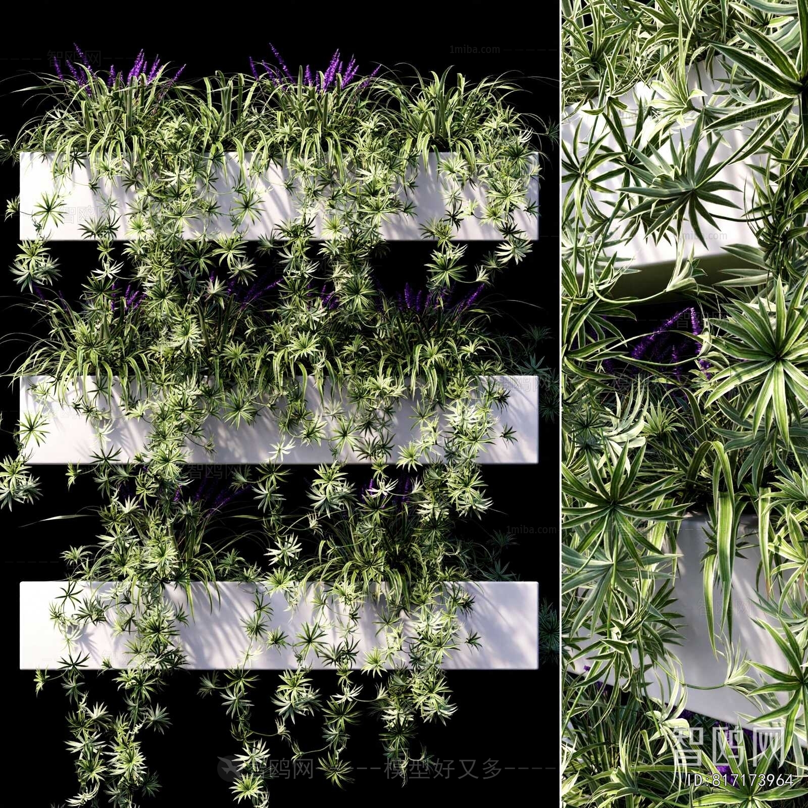 Modern Flower Bed, Flower Bowl, Flower Box