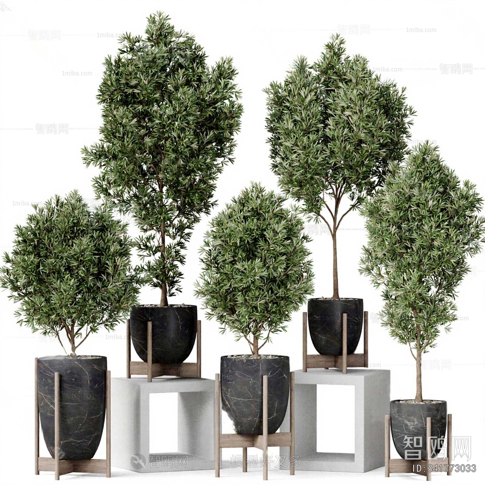 Modern Ground Green Plant Potted Plants