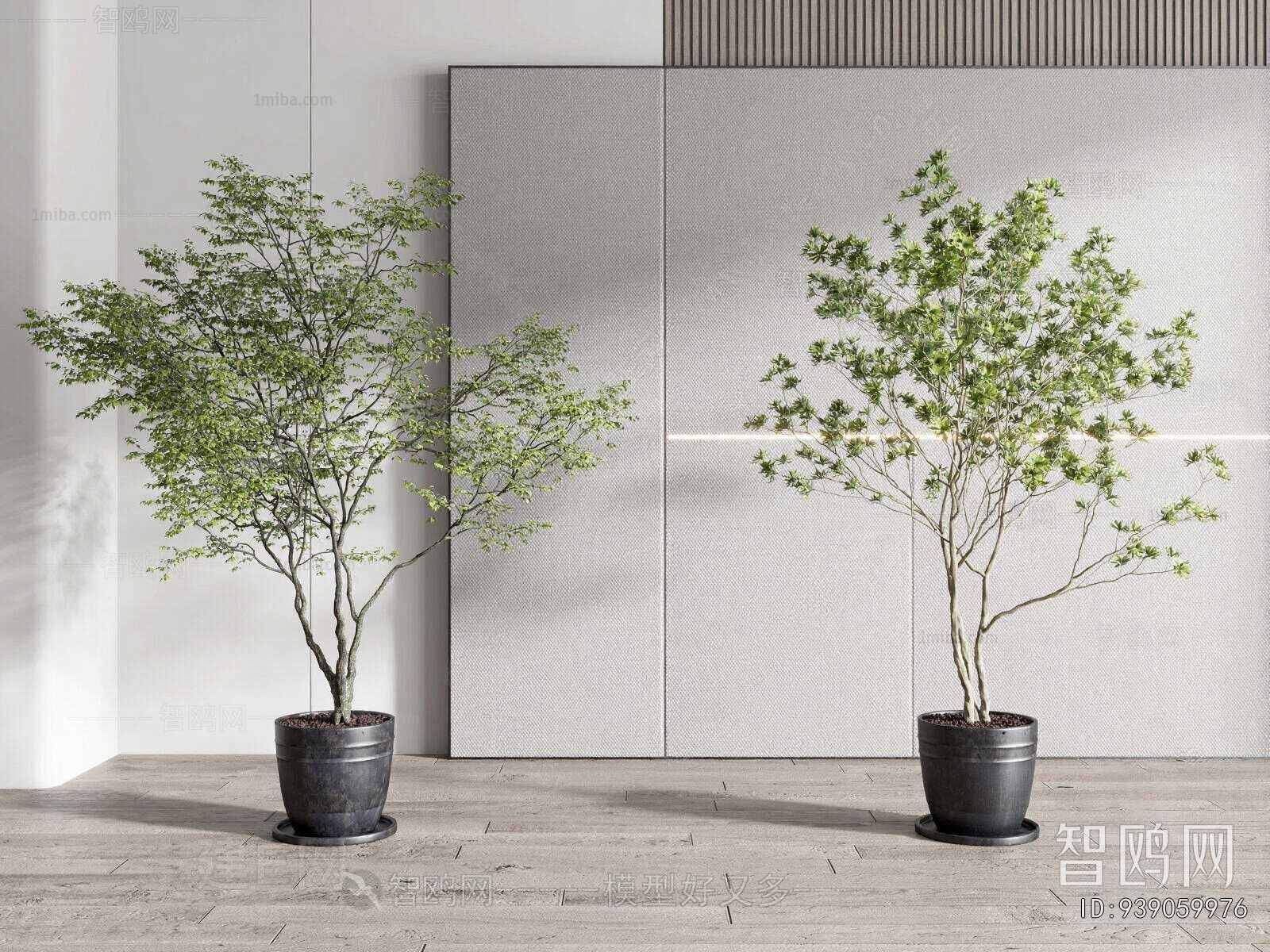 Modern Ground Green Plant Potted Plants