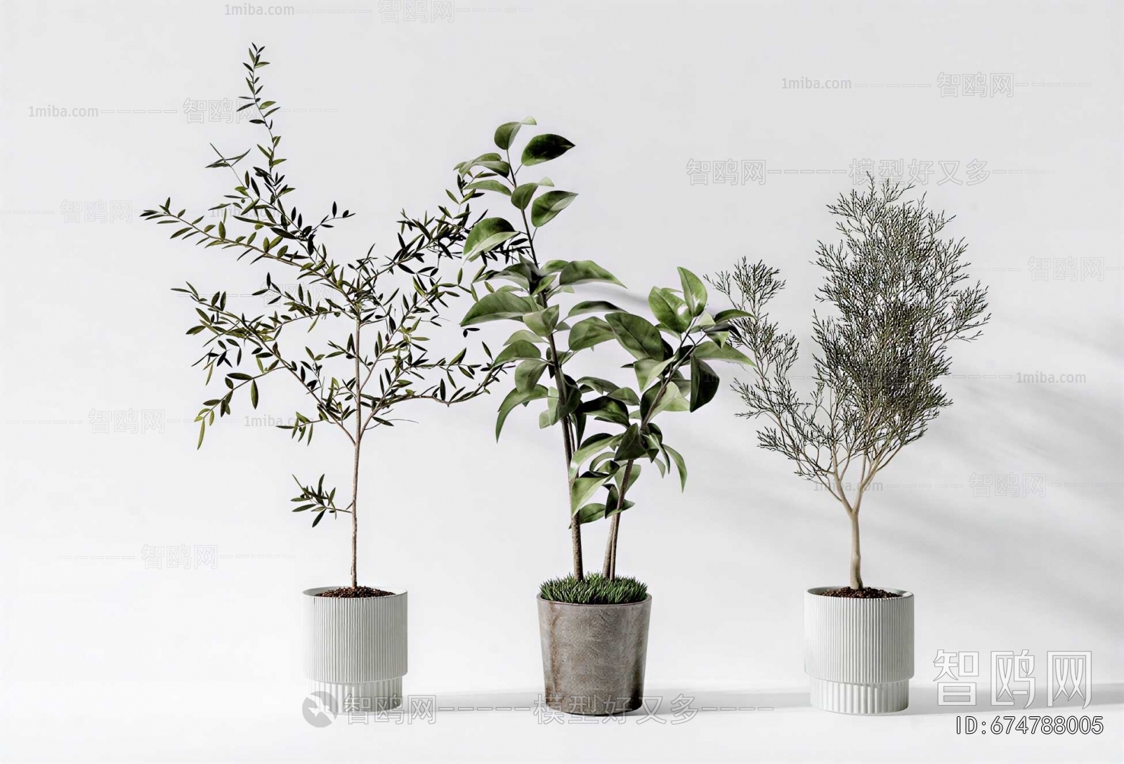 Modern Ground Green Plant Potted Plants