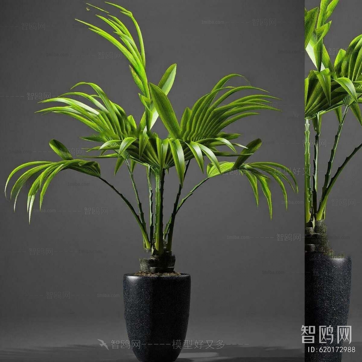 Modern Ground Green Plant Potted Plants