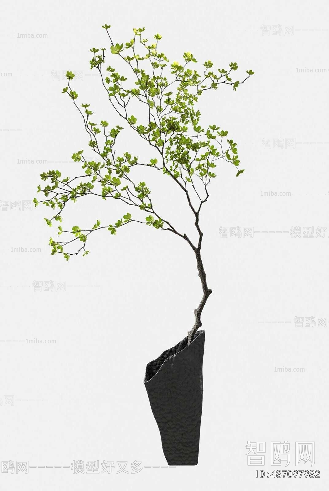 Modern Ground Green Plant Potted Plants