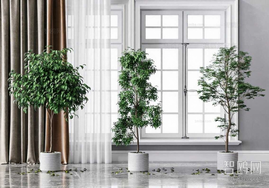 Modern Ground Green Plant Potted Plants