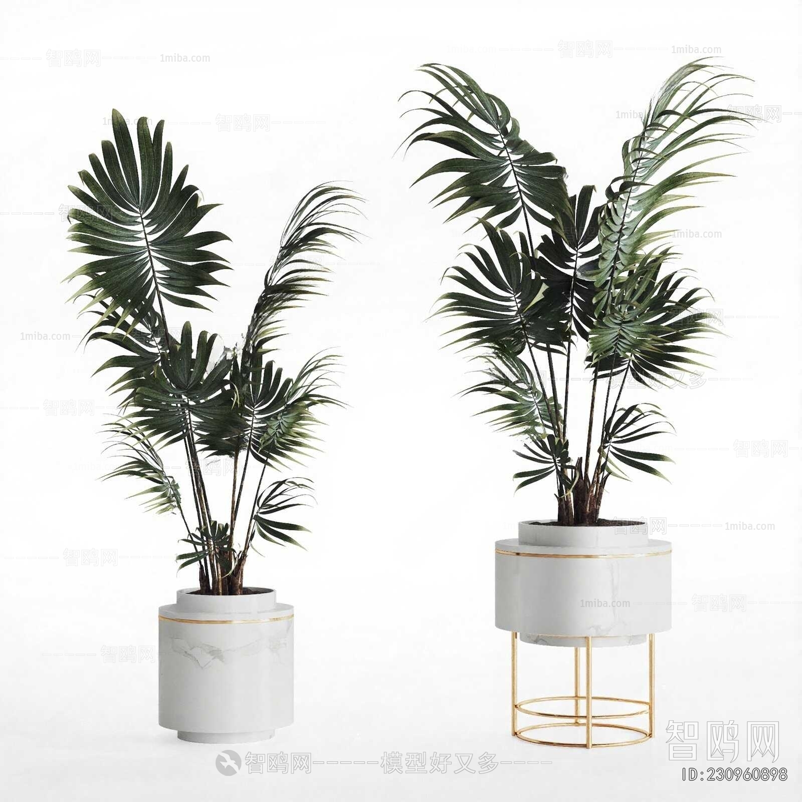 Modern Ground Green Plant Potted Plants