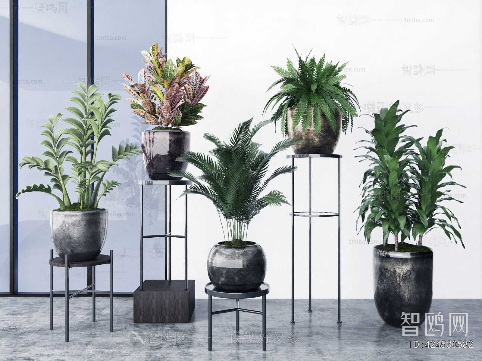 Modern Ground Green Plant Potted Plants