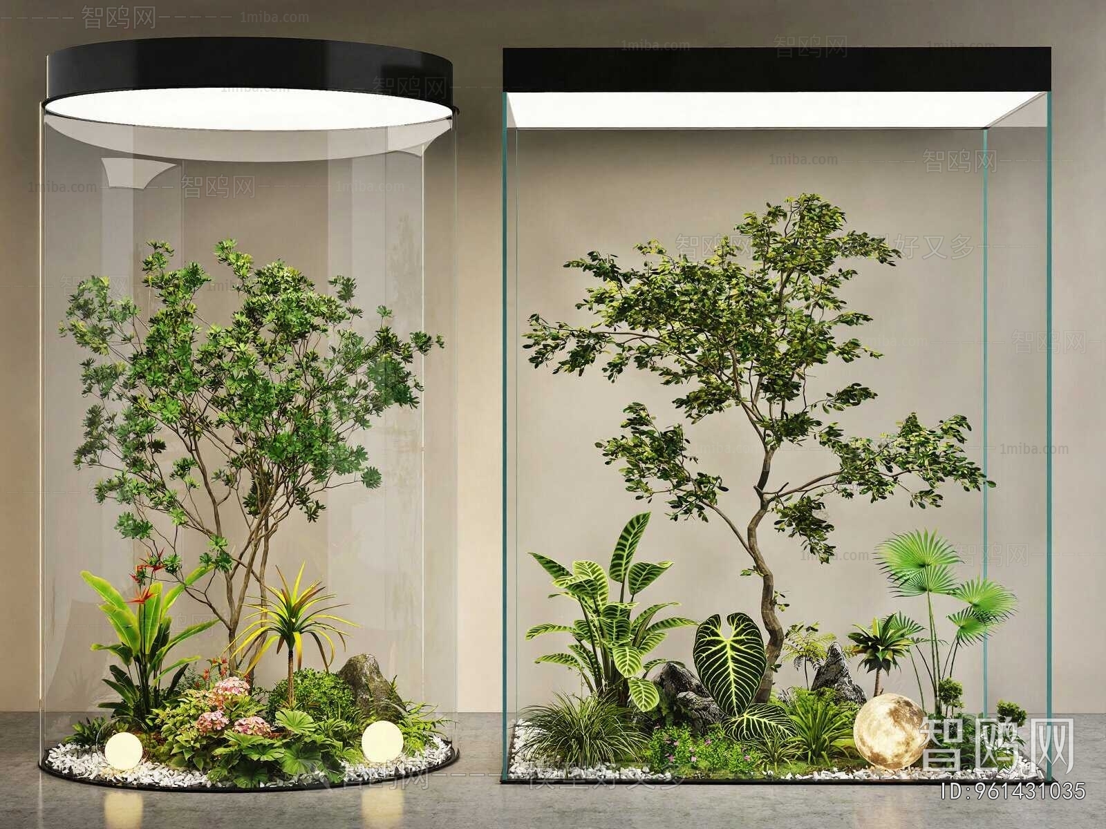 Modern Plant Landscaping