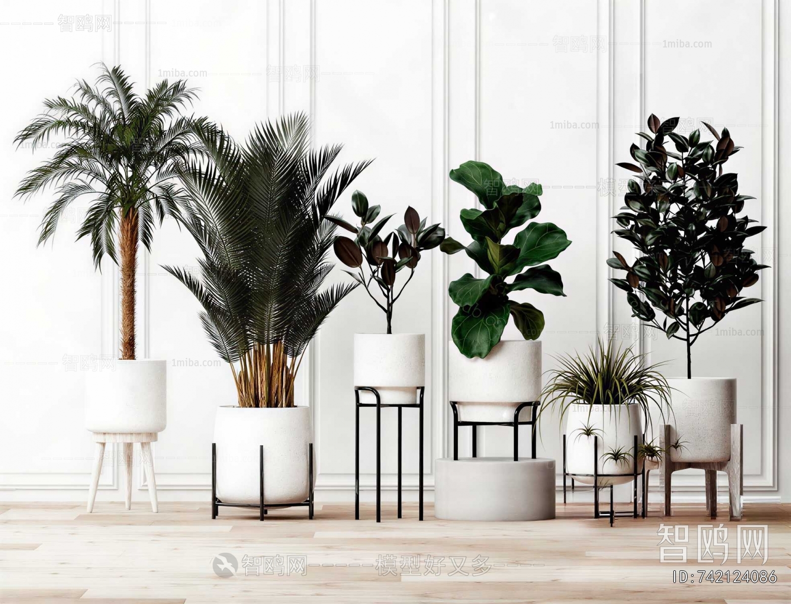 Modern Ground Green Plant Potted Plants