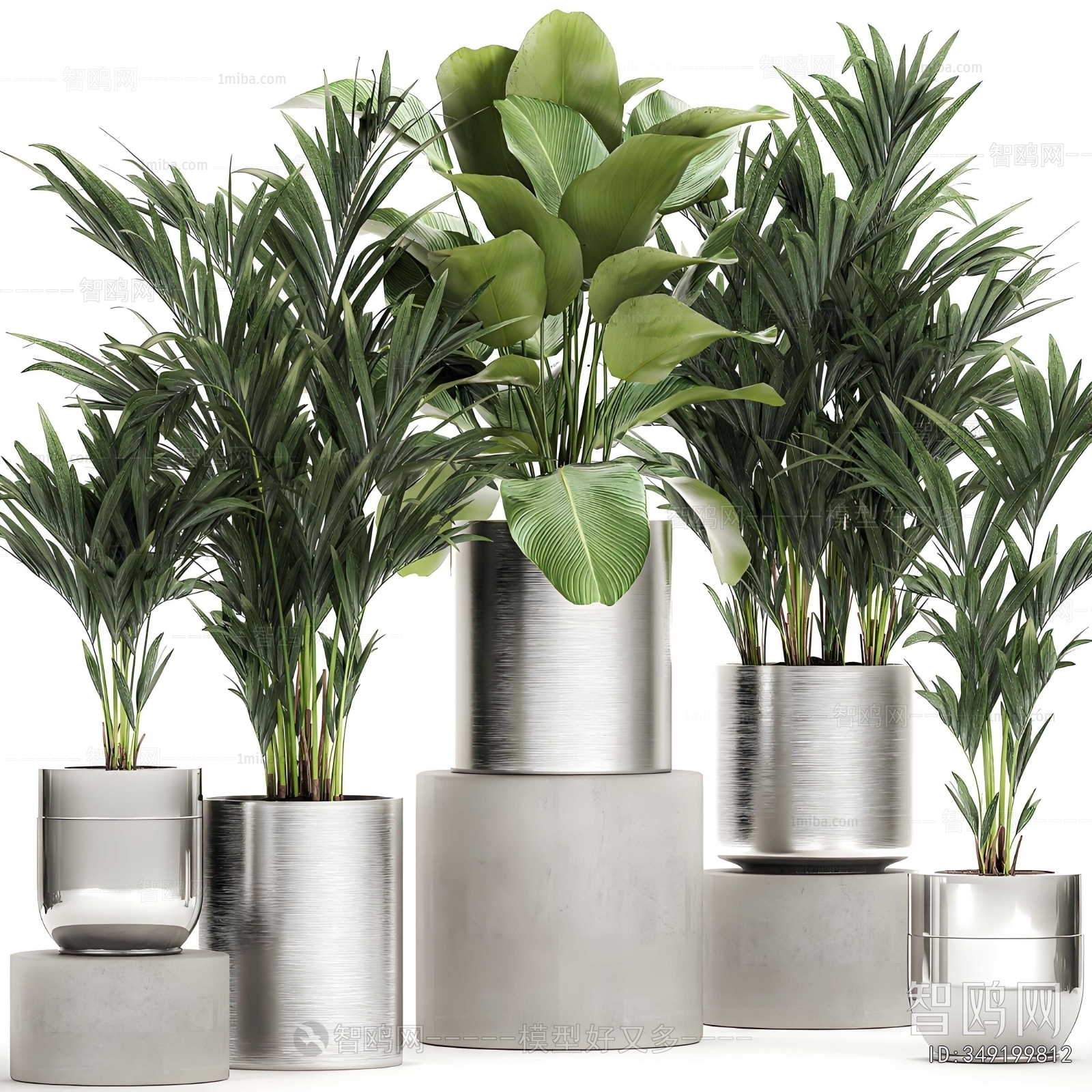 Modern Ground Green Plant Potted Plants