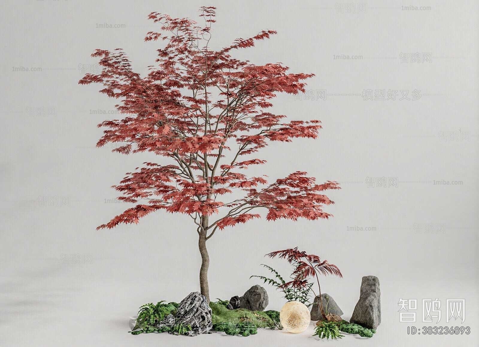 Modern Plant Landscaping