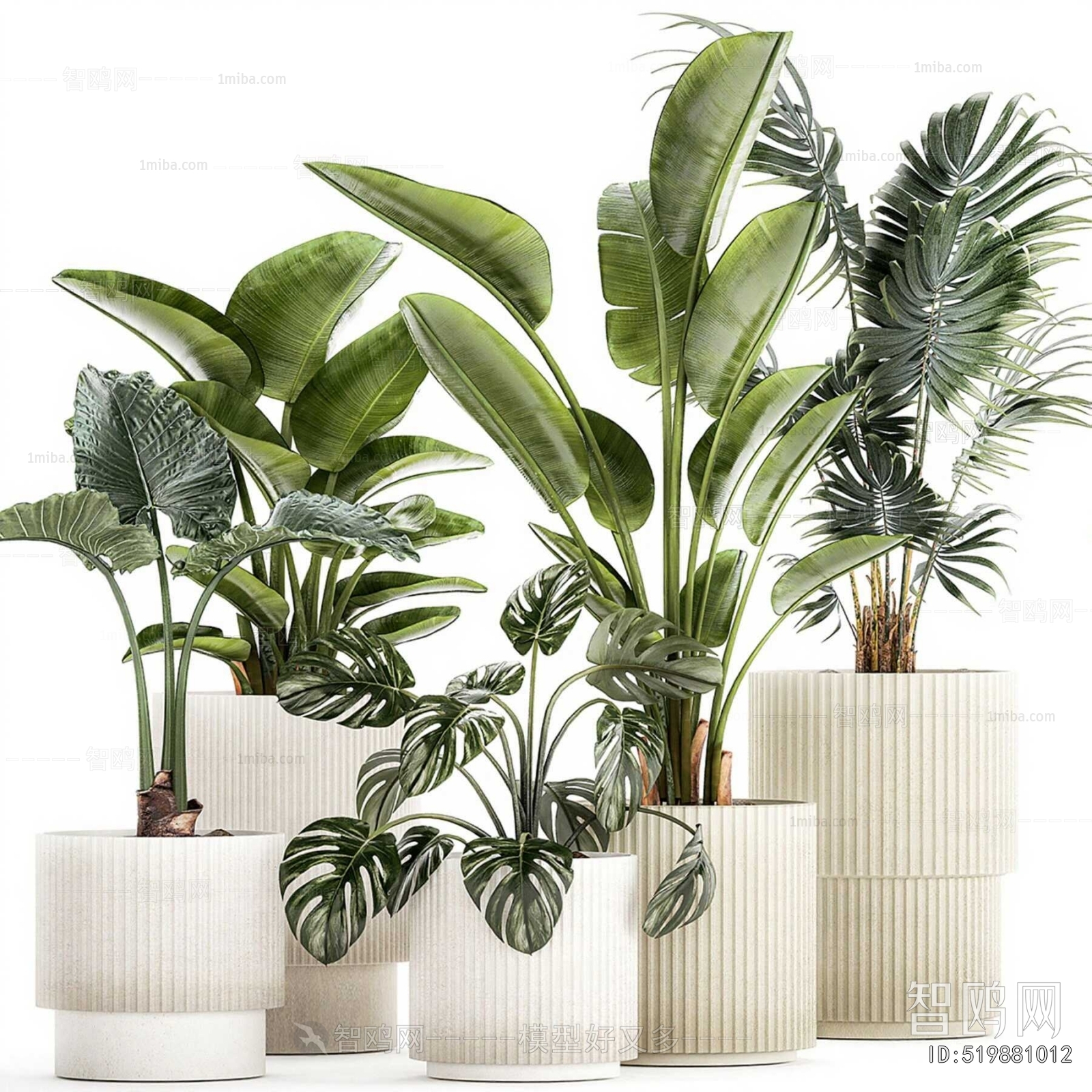 Modern Ground Green Plant Potted Plants