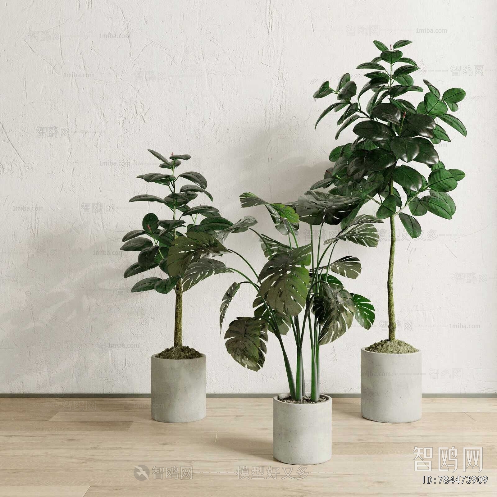 Modern Ground Green Plant Potted Plants