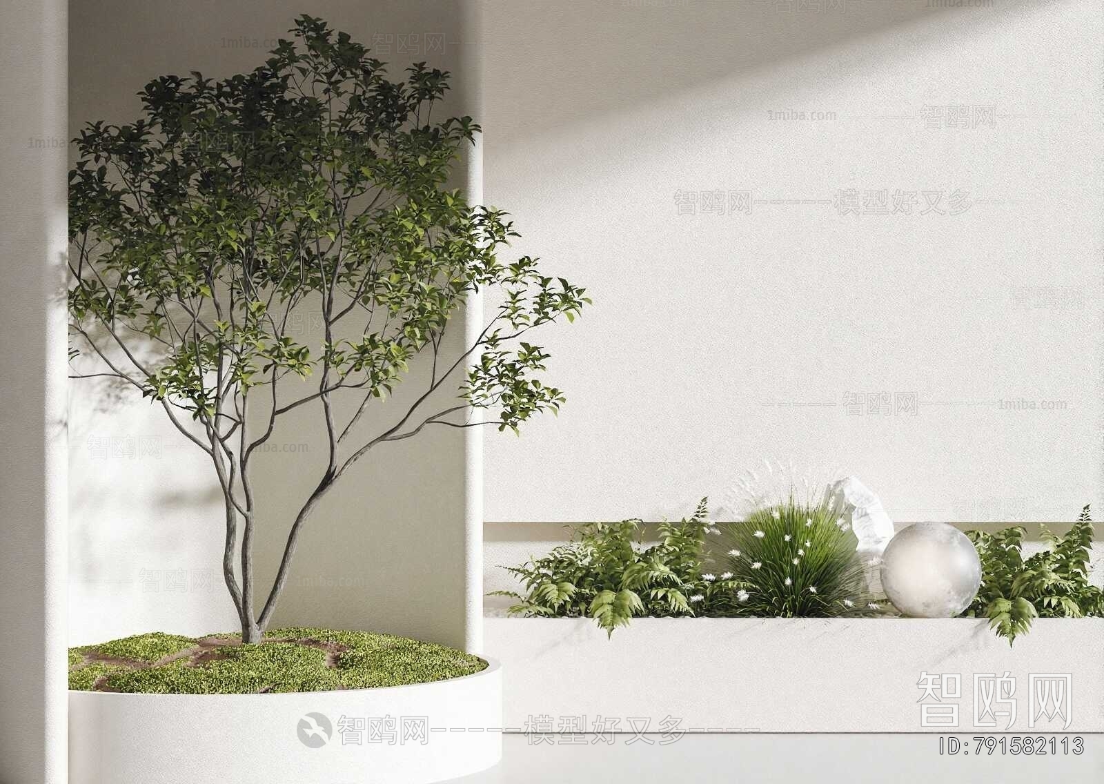 Modern Plant Landscaping