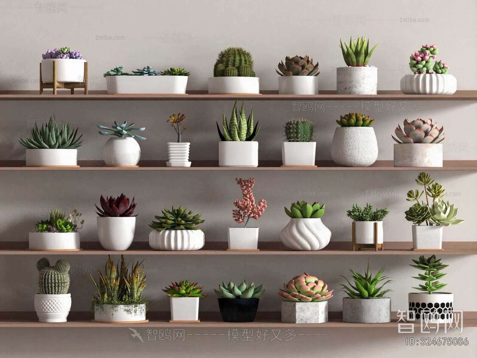 Modern Potted Green Plant