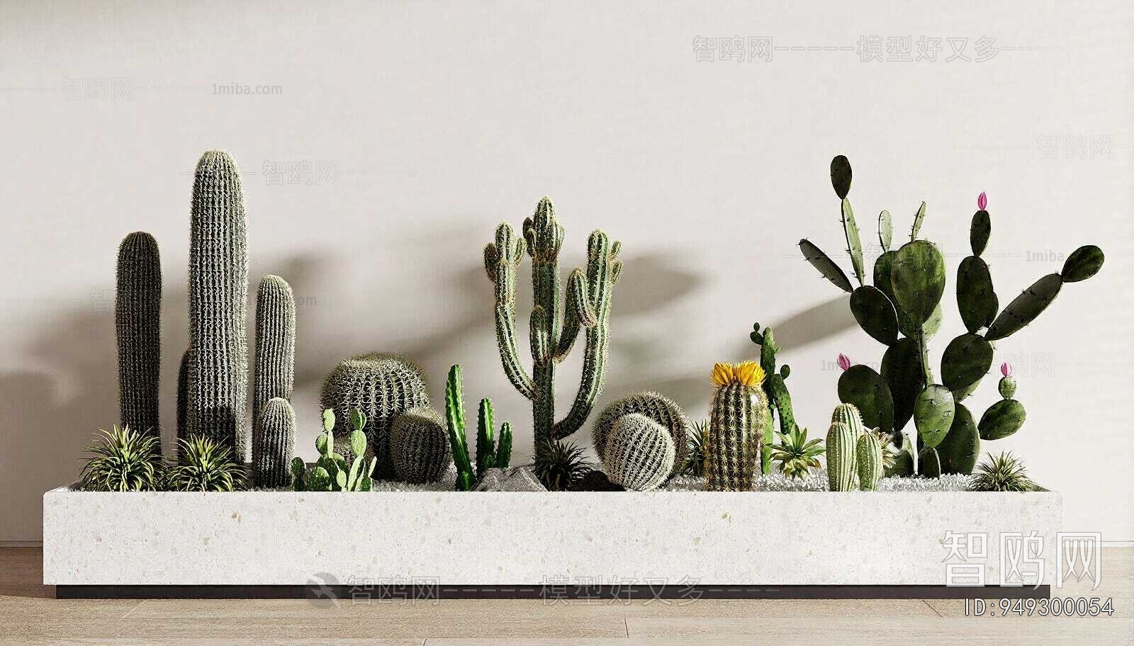 Modern Plant Landscaping