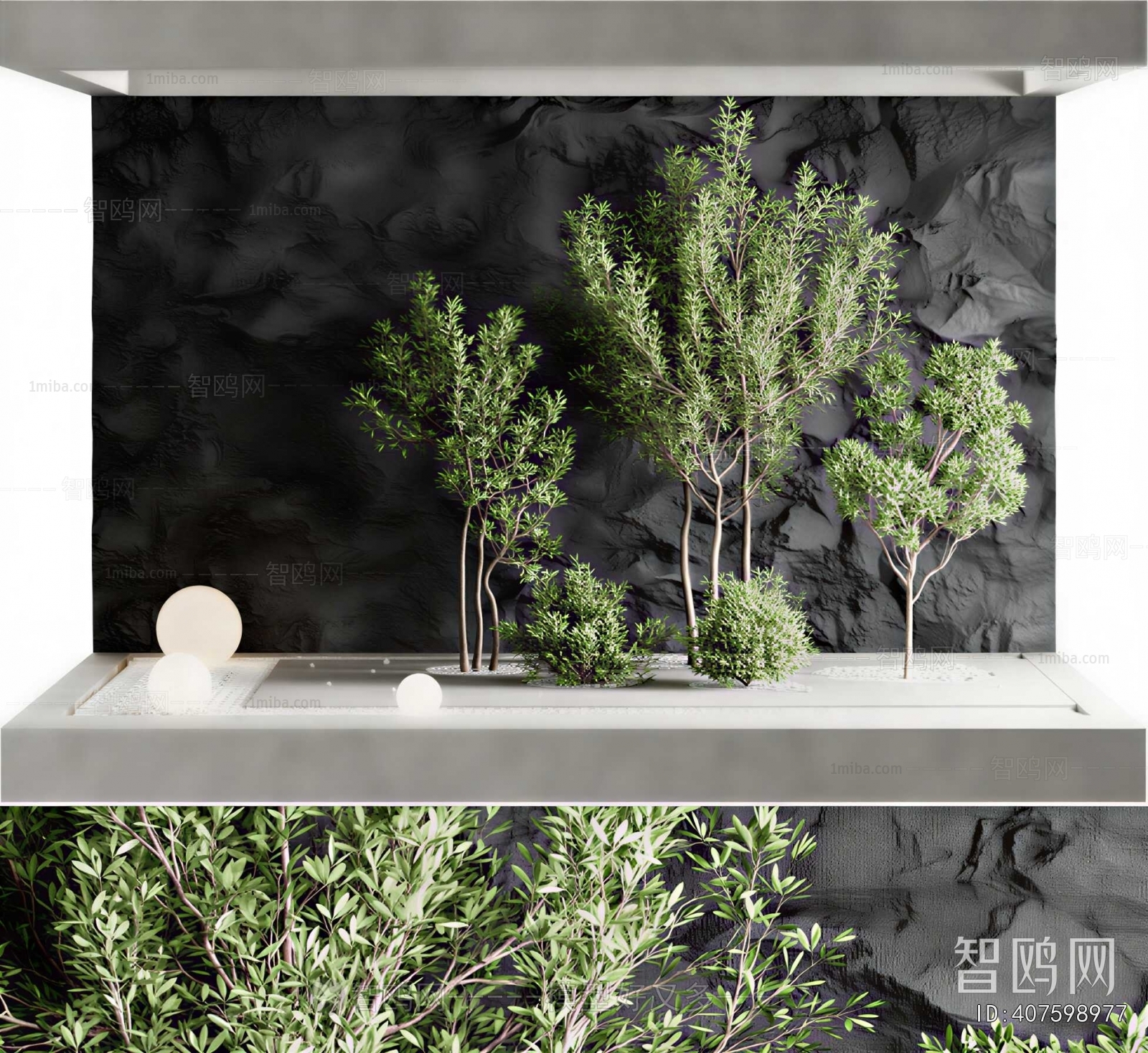 Modern Plant Landscaping