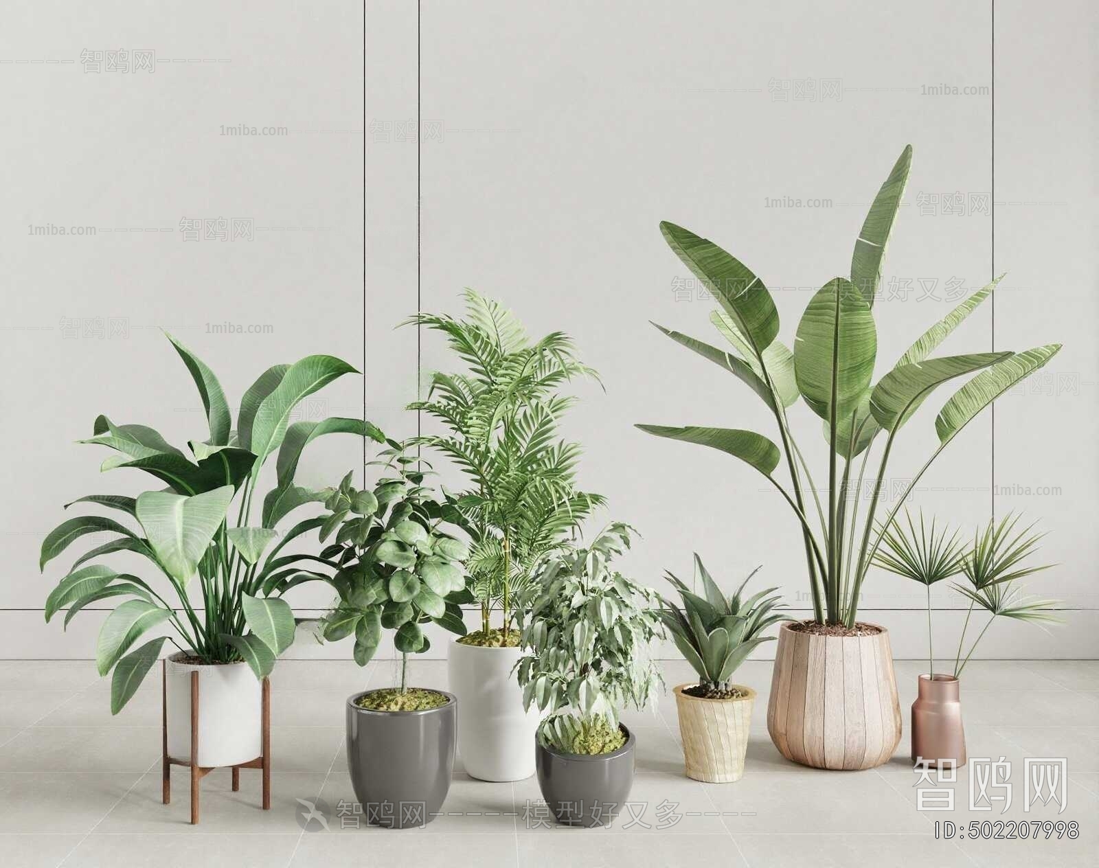 Modern Ground Green Plant Potted Plants