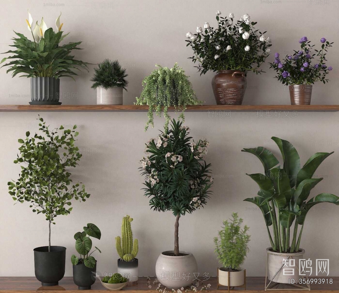 Modern Ground Green Plant Potted Plants