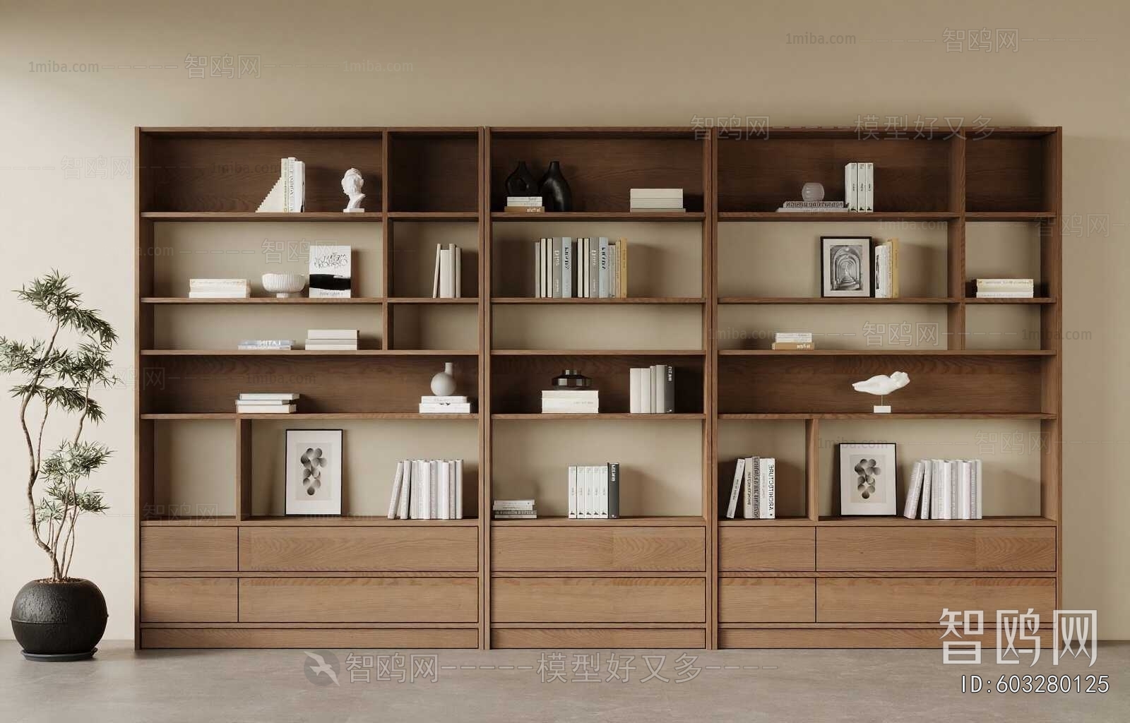 Modern Bookcase