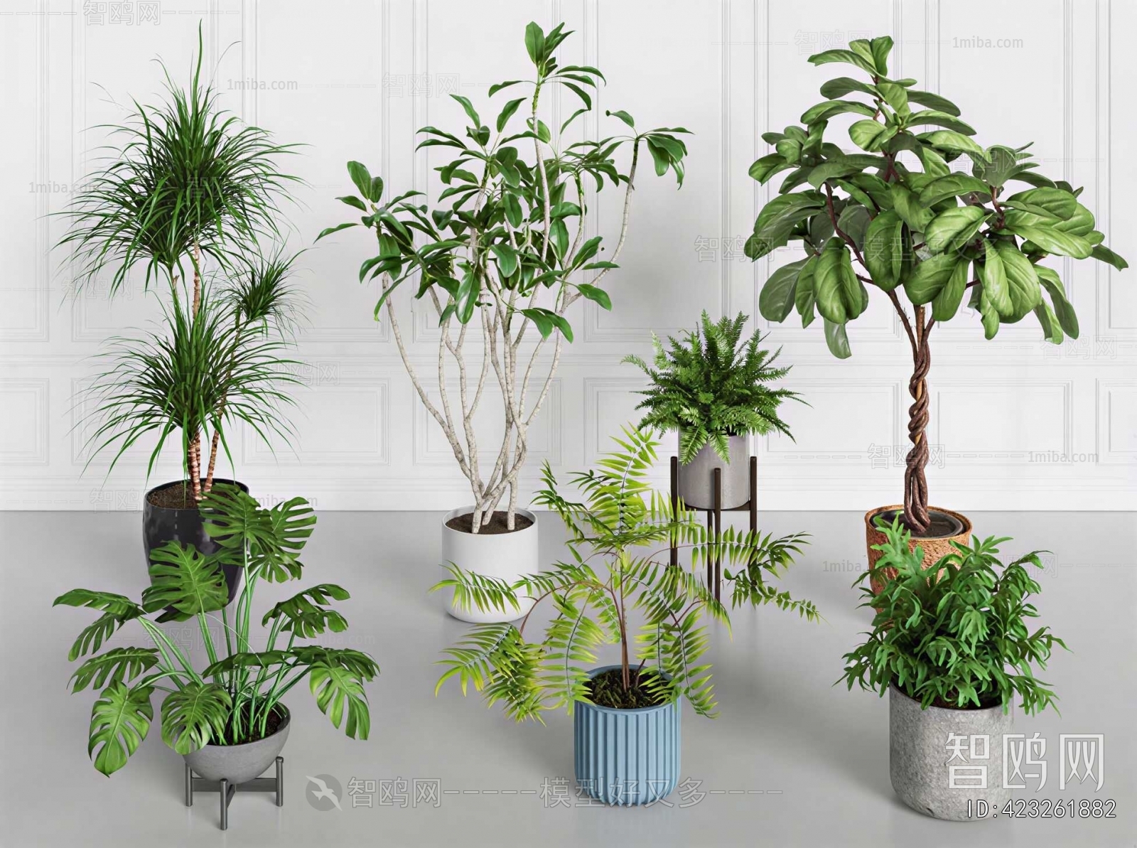 Modern Ground Green Plant Potted Plants