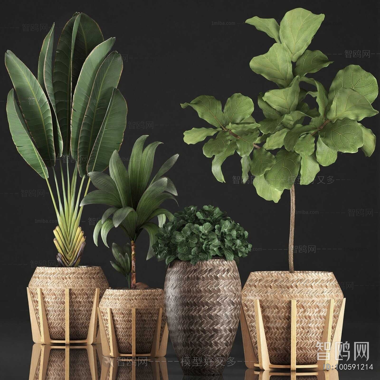 Modern Ground Green Plant Potted Plants