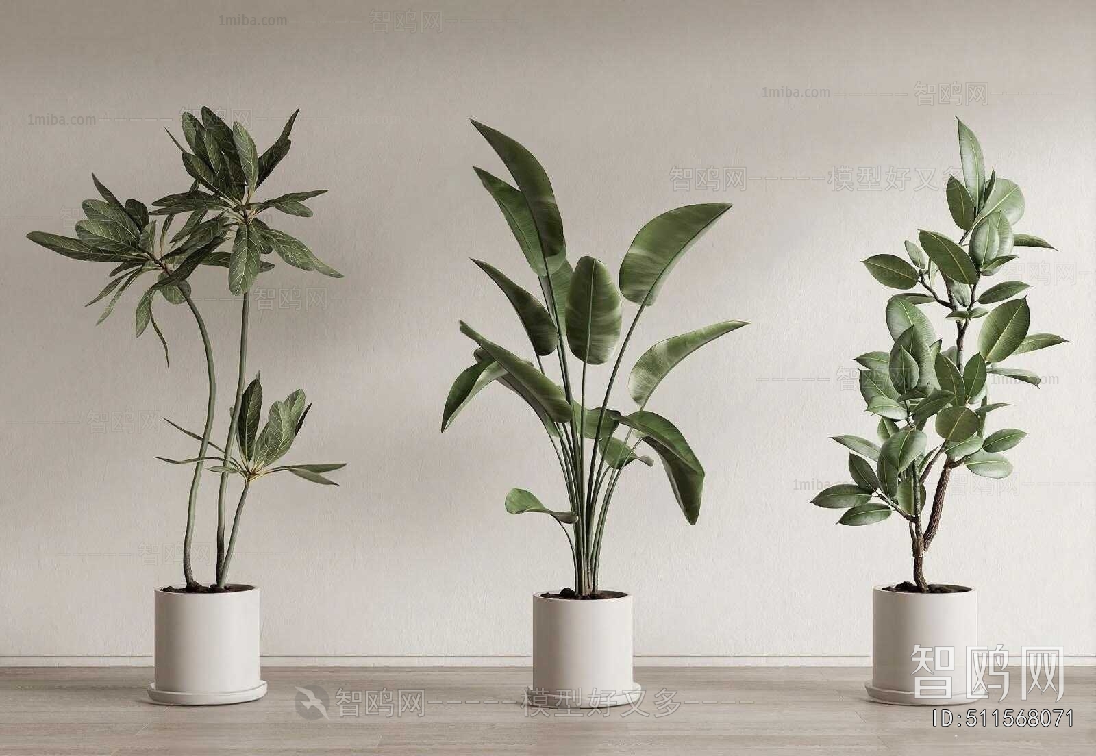 Modern Ground Green Plant Potted Plants