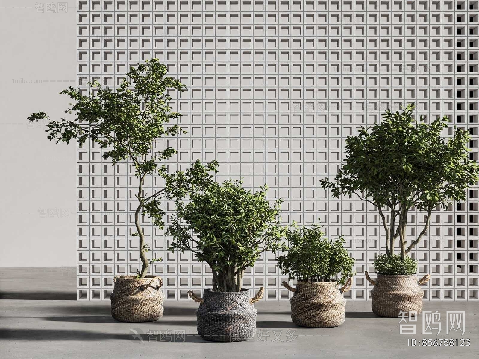 Modern Ground Green Plant Potted Plants