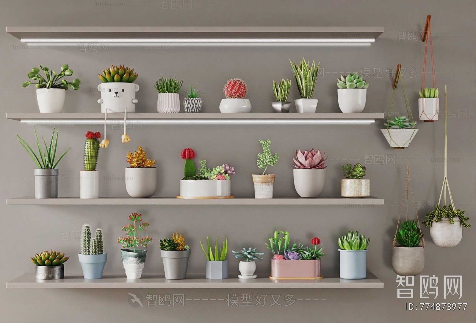 Modern Potted Green Plant