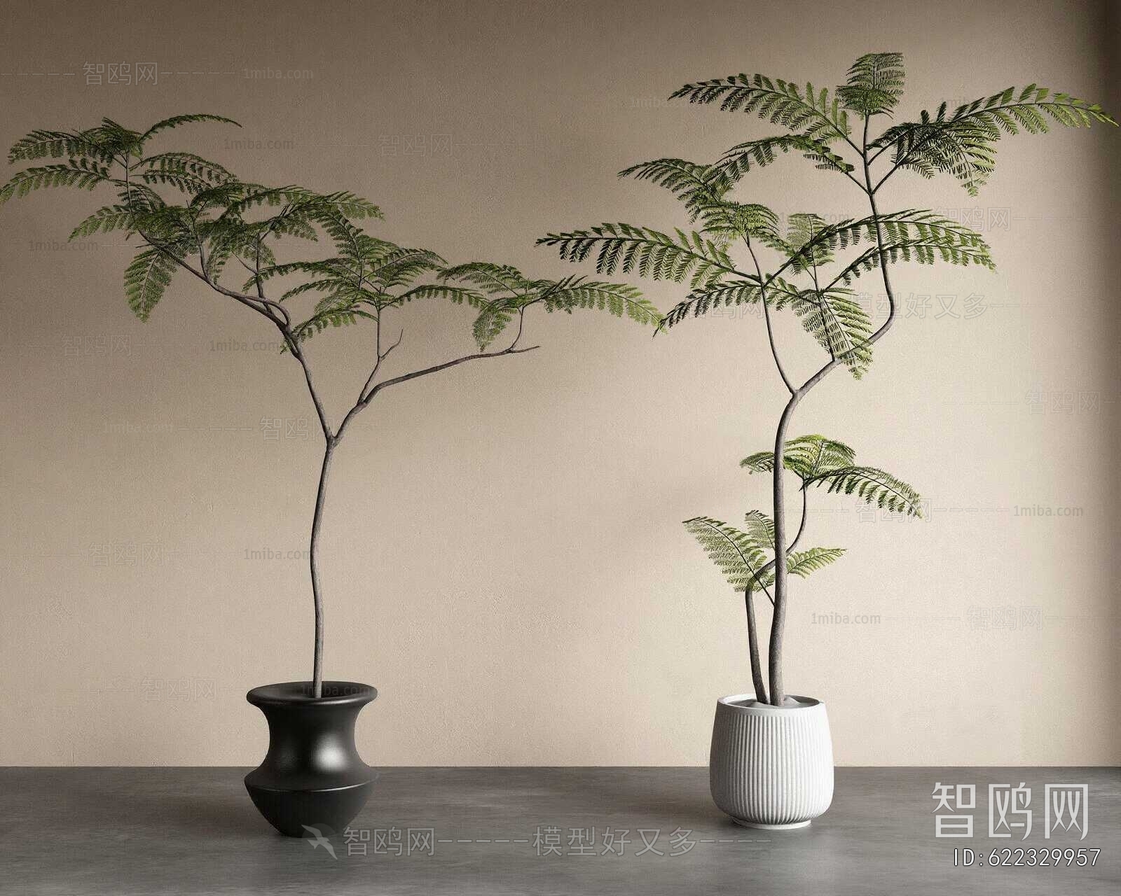 Modern Ground Green Plant Potted Plants