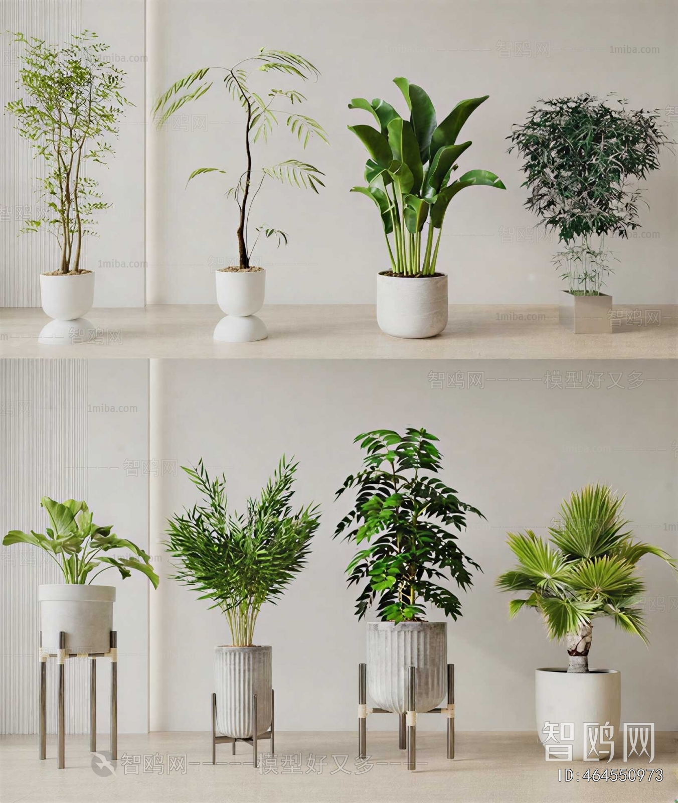 Modern Ground Green Plant Potted Plants