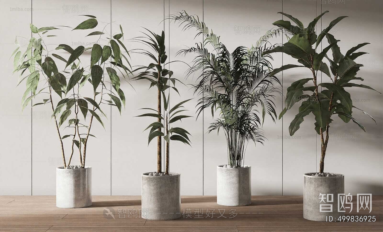 Wabi-sabi Style Ground Green Plant Potted Plants