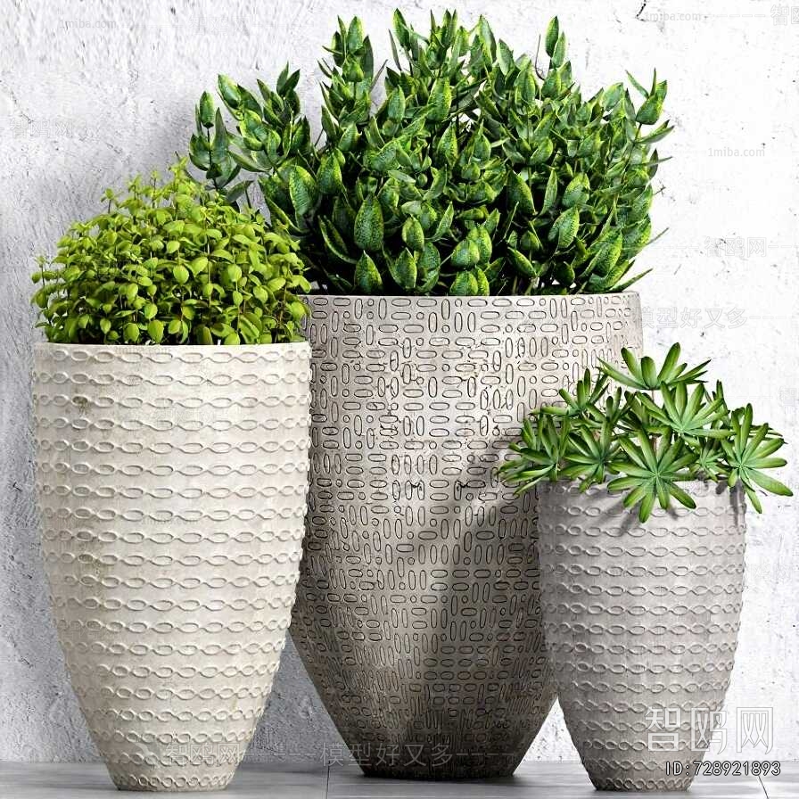 Modern Flower Bed, Flower Bowl, Flower Box