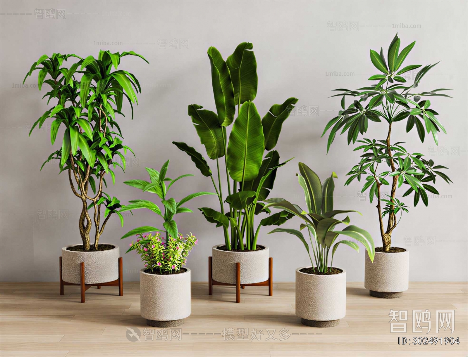 Modern Ground Green Plant Potted Plants