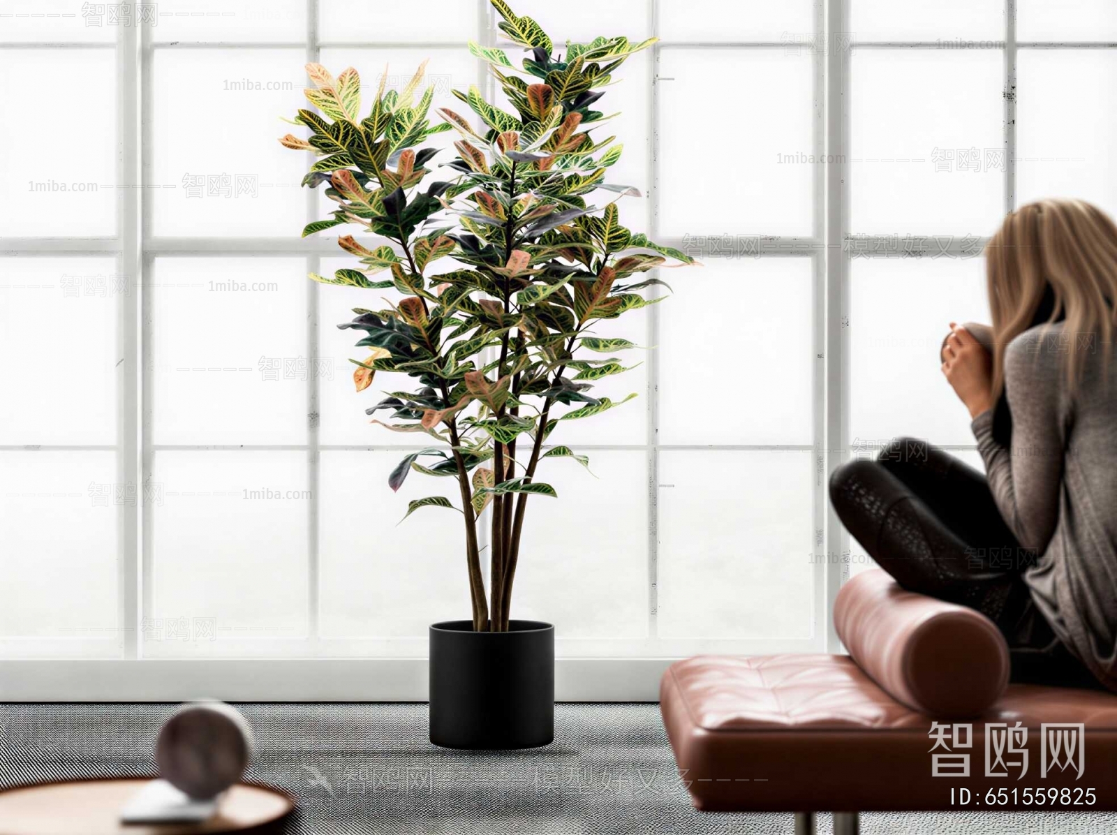 Modern Ground Green Plant Potted Plants