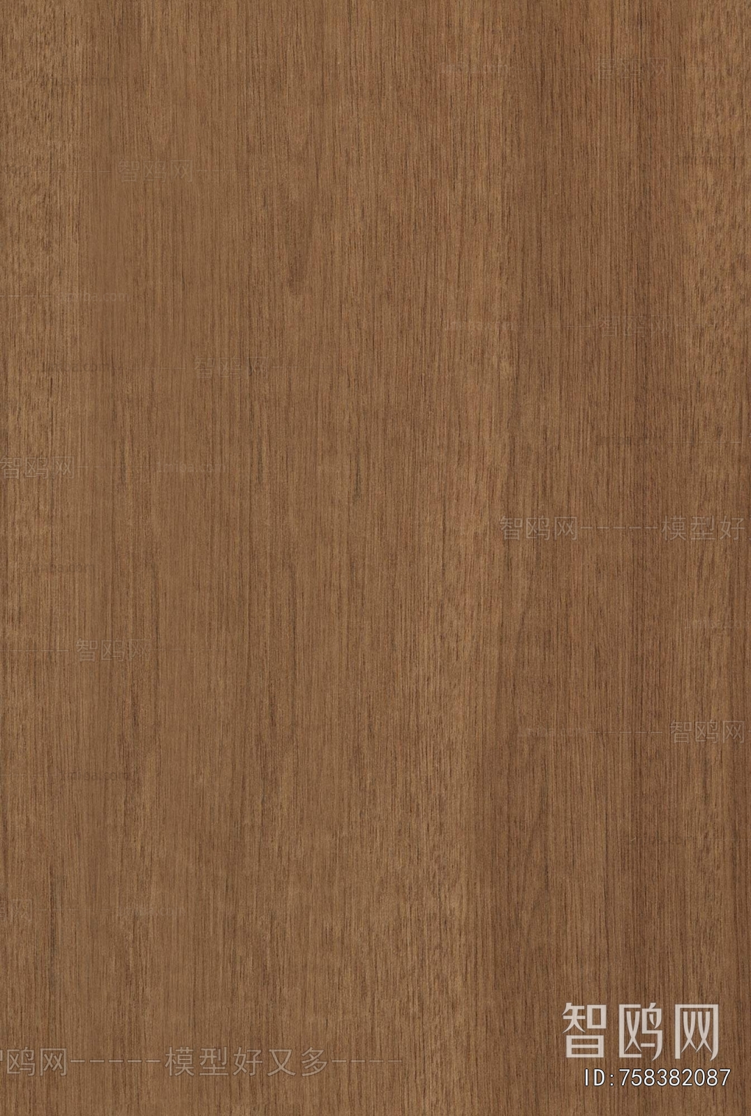 Wood Texture