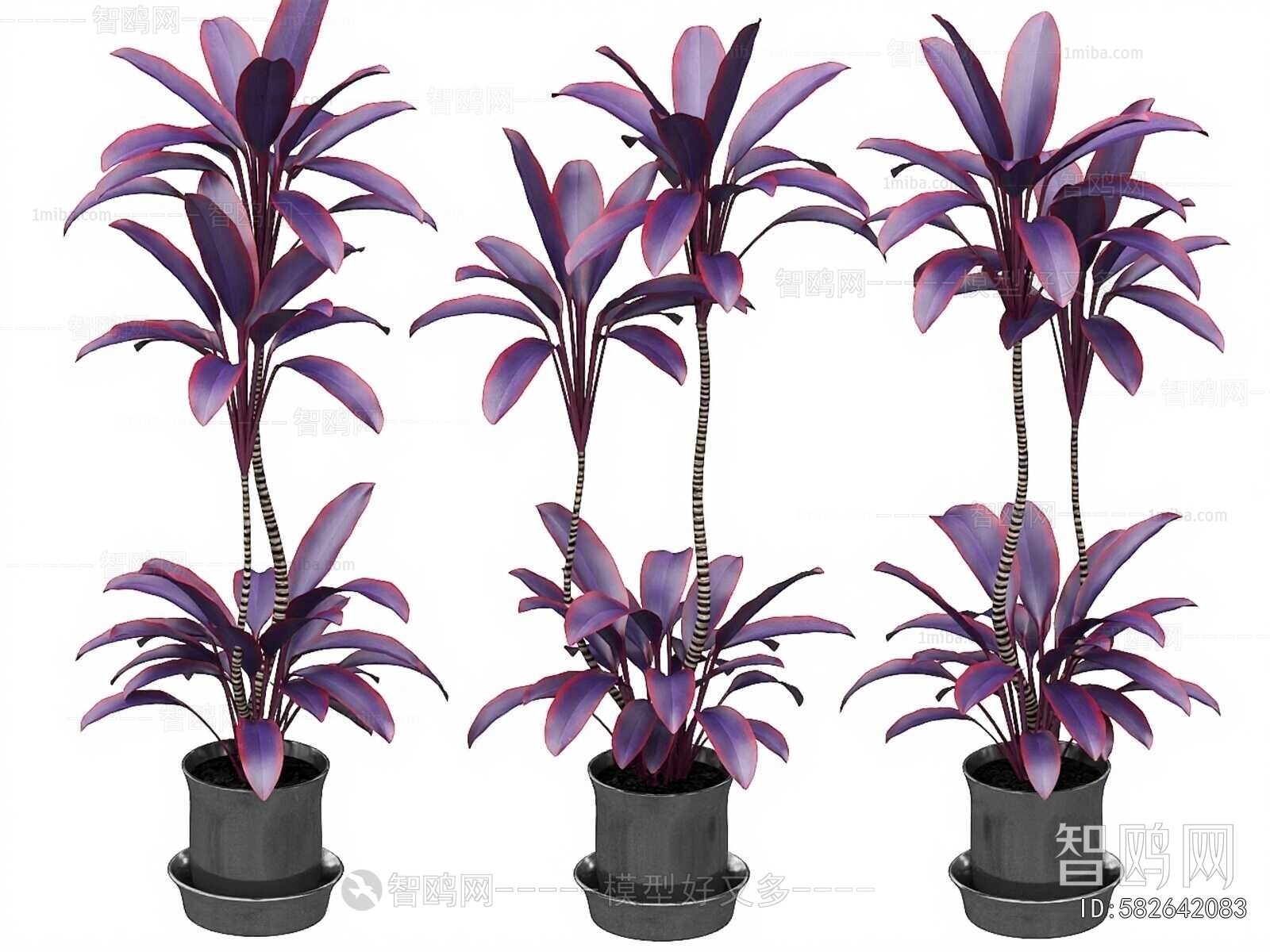 Modern Potted Green Plant