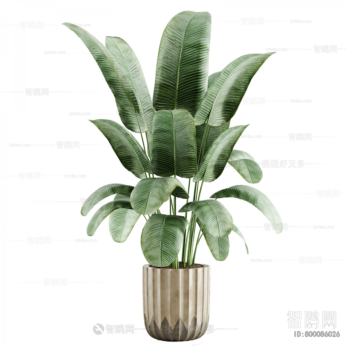 Modern Ground Green Plant Potted Plants